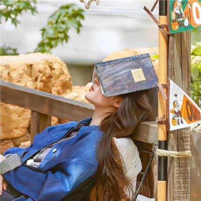 花飞尽、归不归