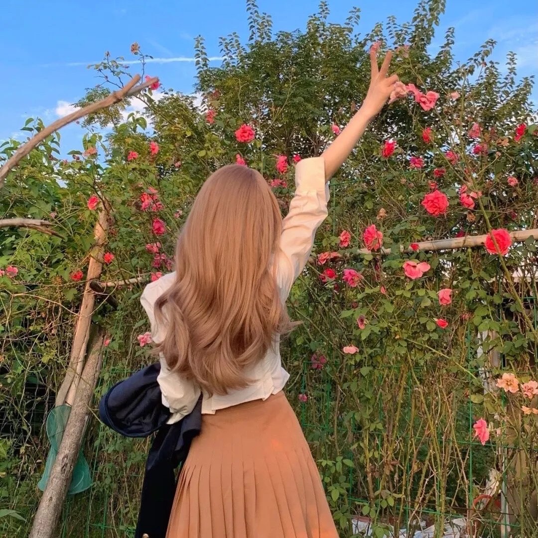 邪恶力量第十四季